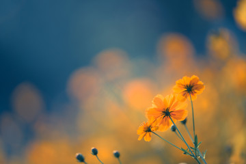 关于桥的谚语集锦