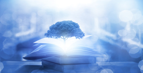 关于桥的谚语集锦