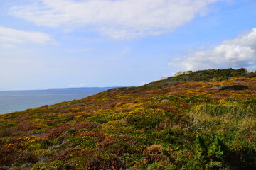 关于日语发音的规则