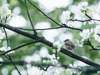 关于清江古河床的诗句(清江如练的诗句有那些)