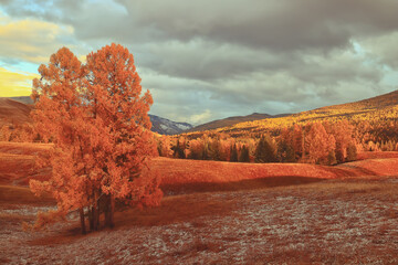 关于“舍得”的名言