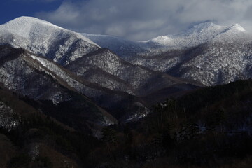 关于“舍得”的名言