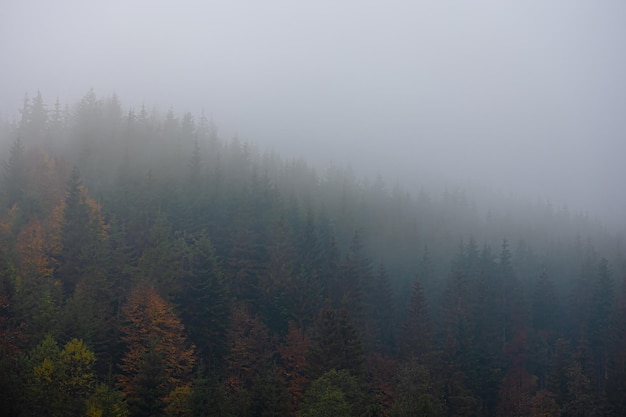 关于春节民间习俗