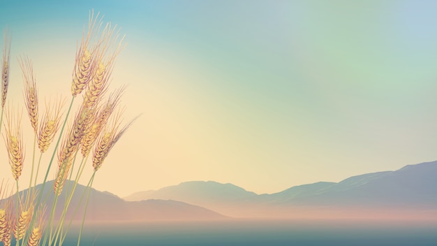 冬季跑步需要注意什么？